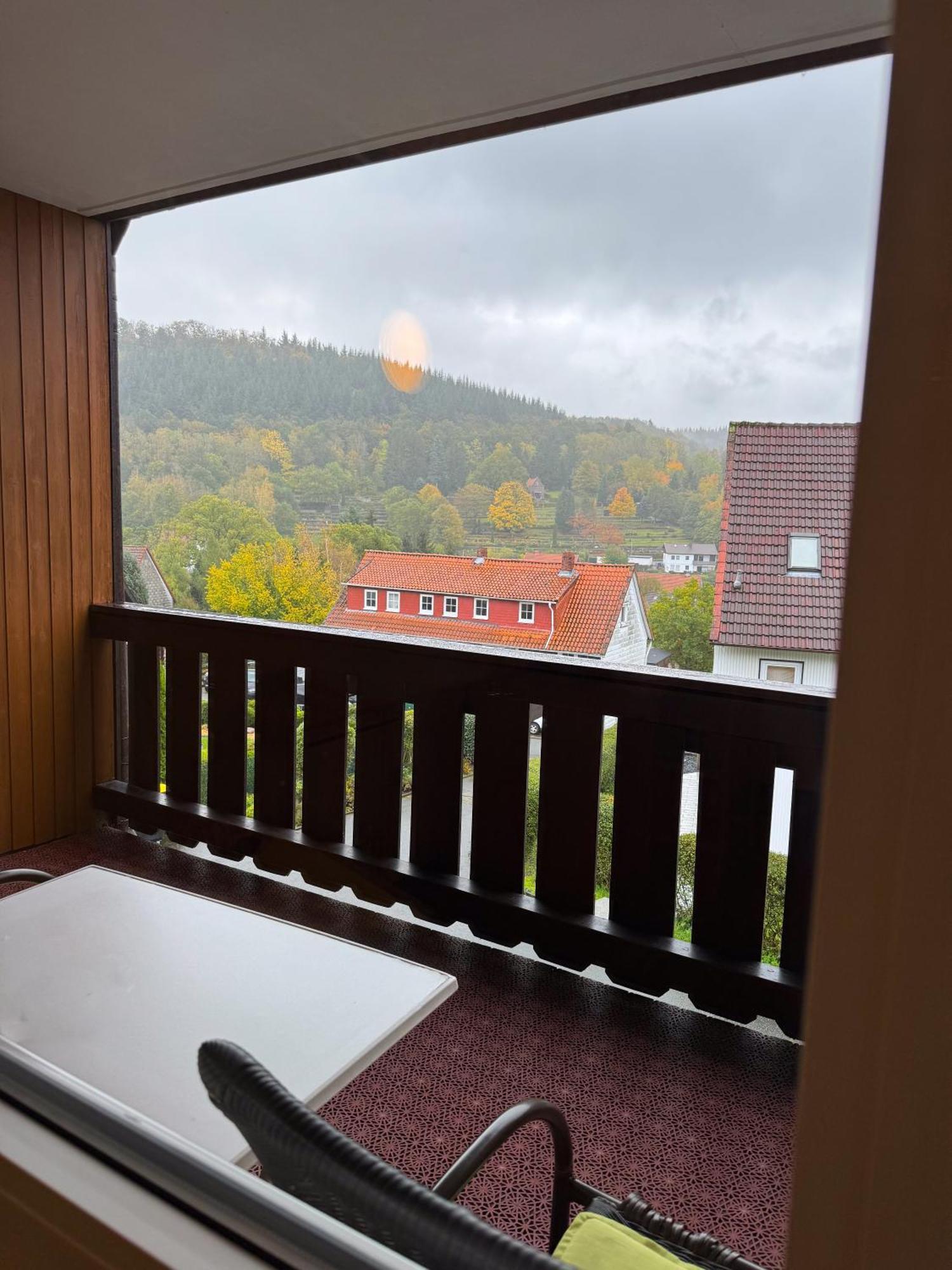 Harzhotel Gruenett Langelsheim Exteriér fotografie